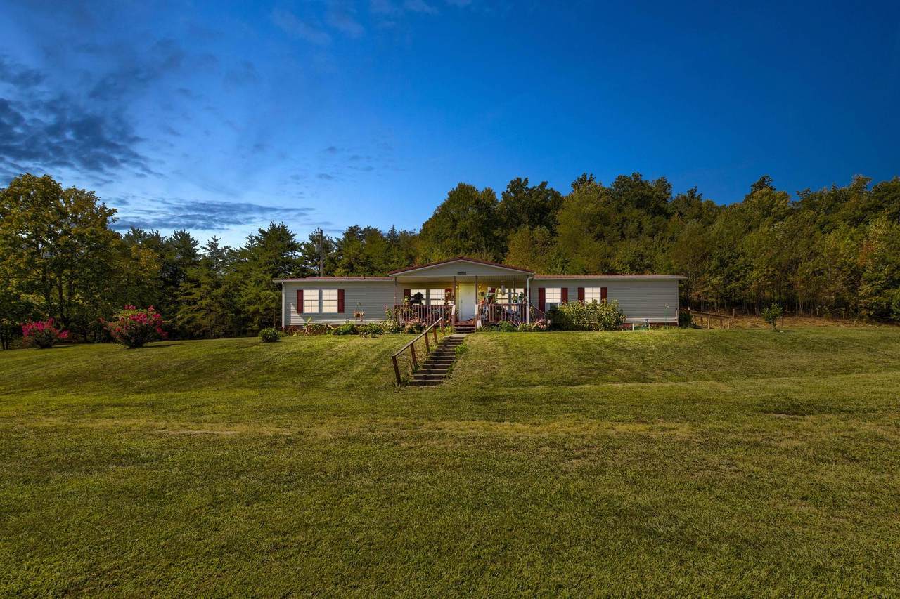 919 Town Branch - Photo 1