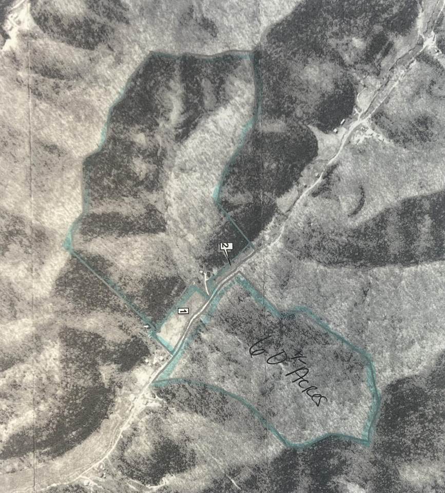 00 Lower Twin Branch (Db 455 Pg 660) - Photo 1