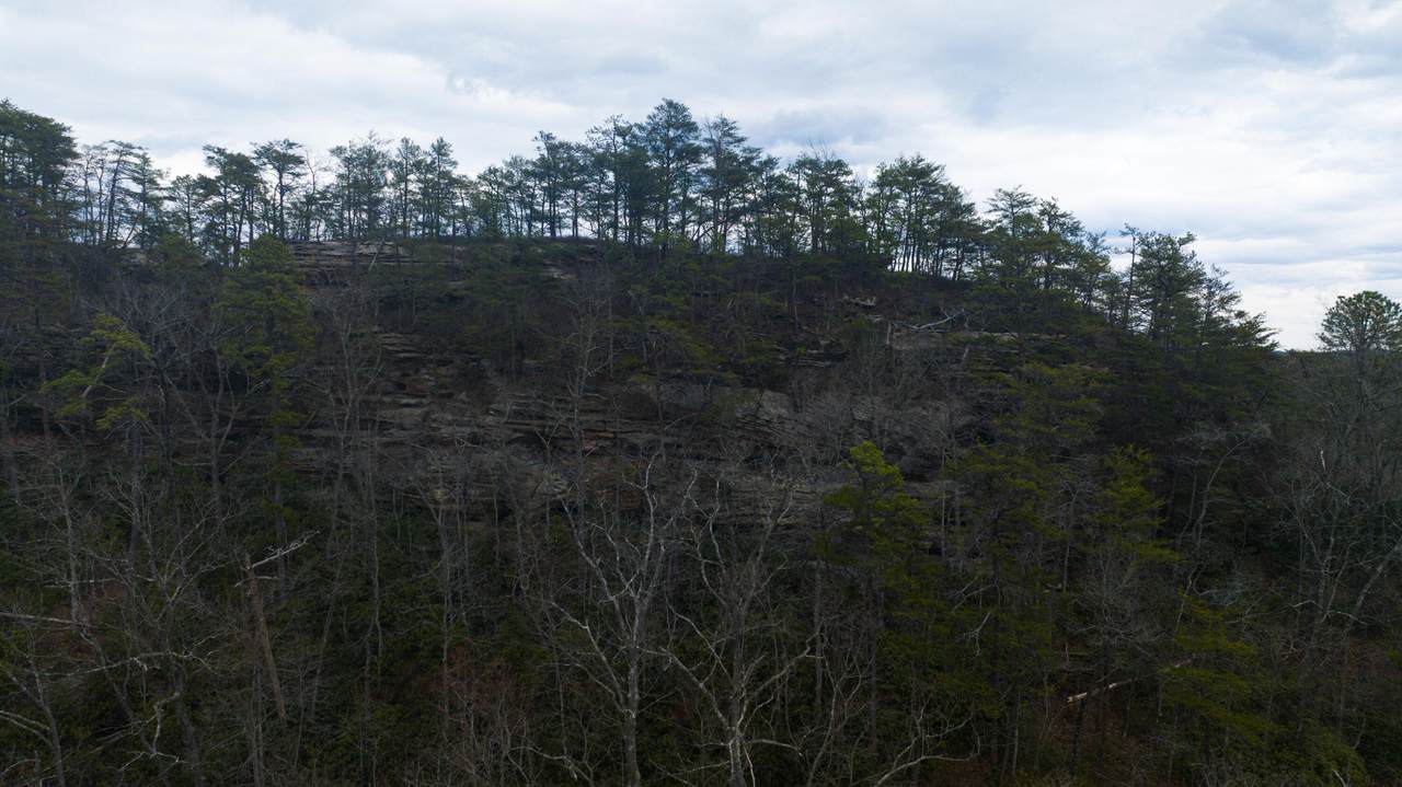 0 South Fork - Photo 1