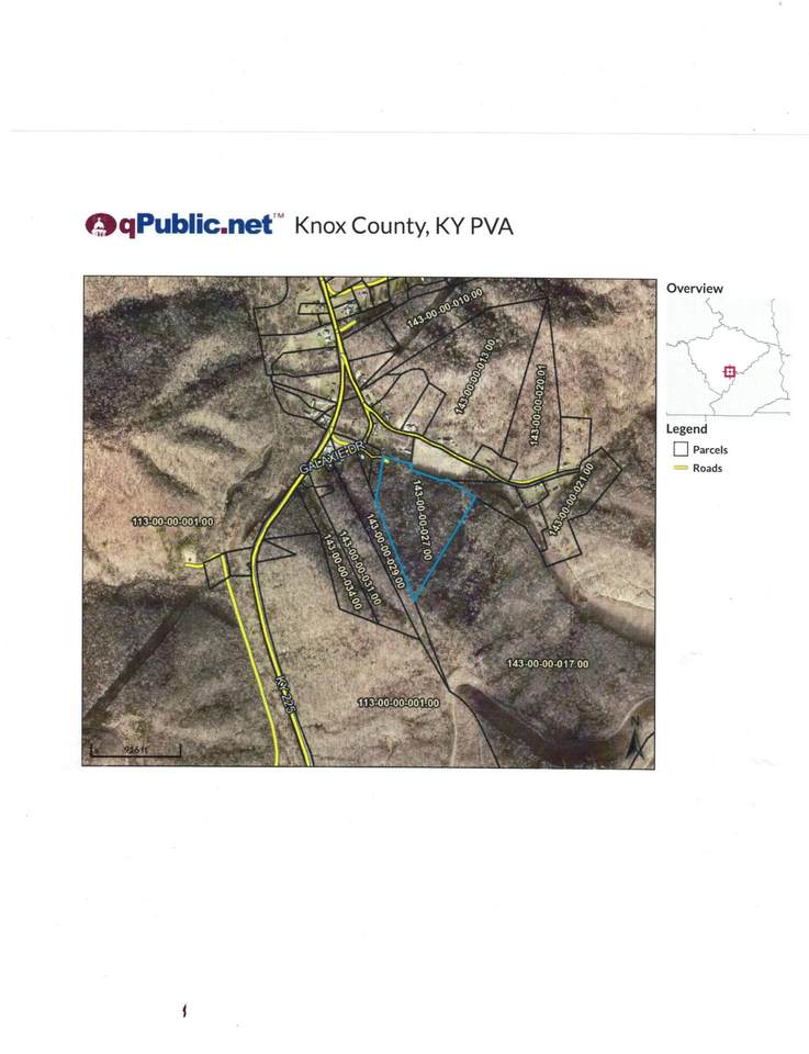 63 Polk Salad Hollow Road - Photo 1