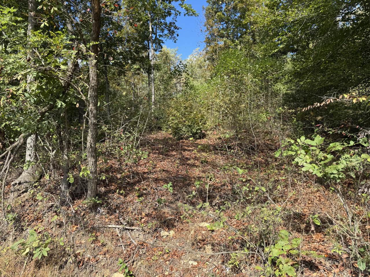 0 Indian Creek Road - Photo 1