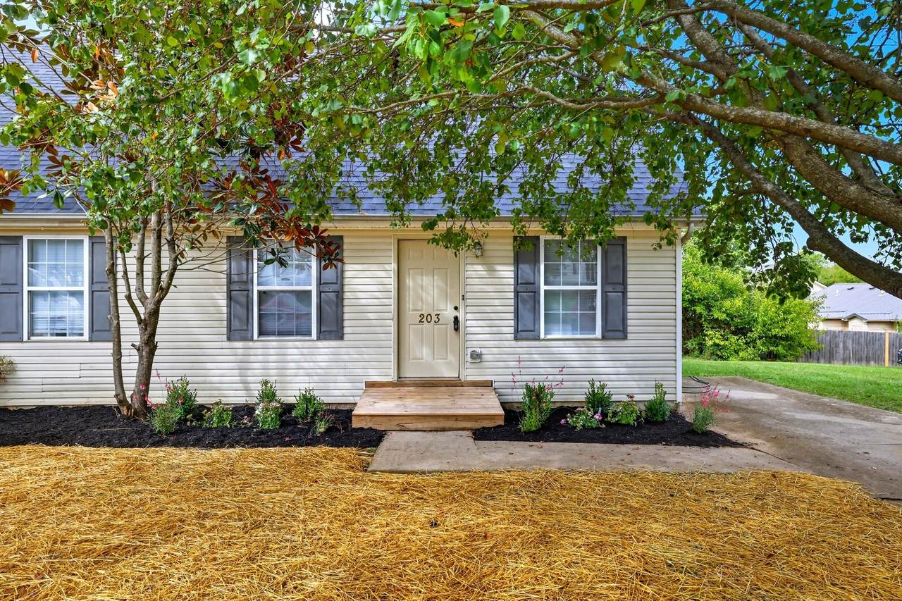 203 Maple Leaf Lane - Photo 1
