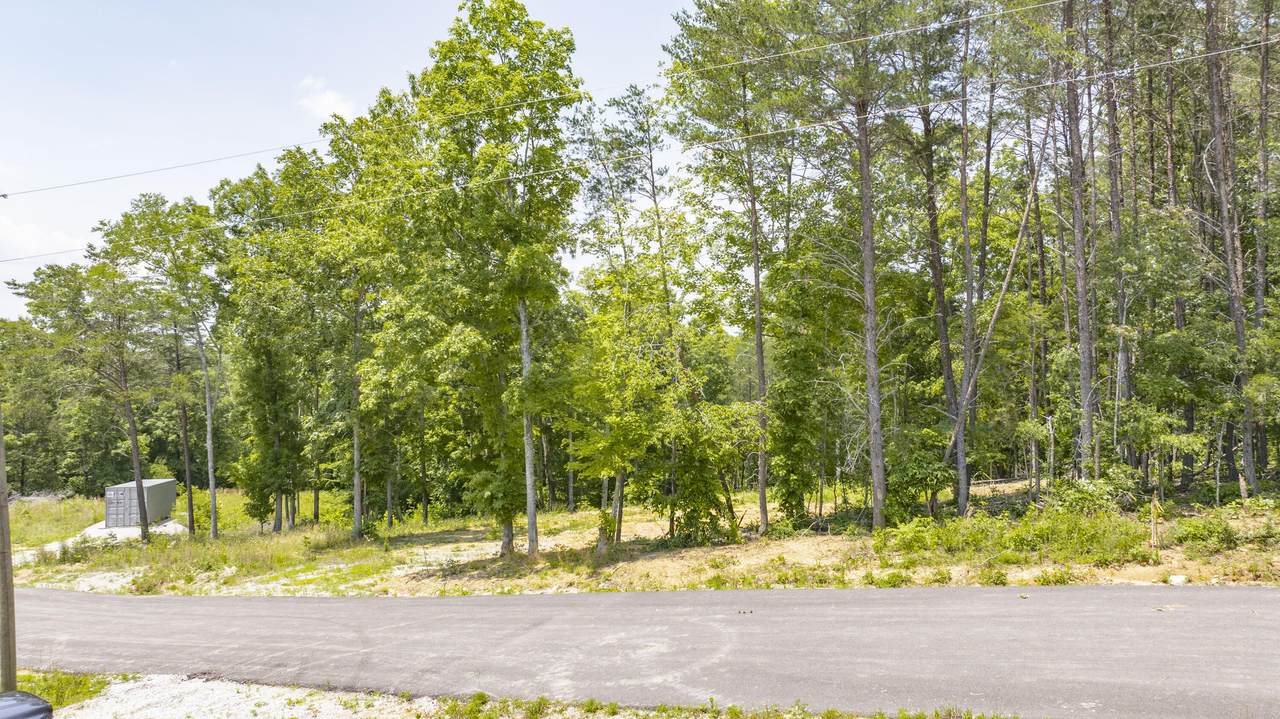 494 Andrew Parmley Road - Photo 1