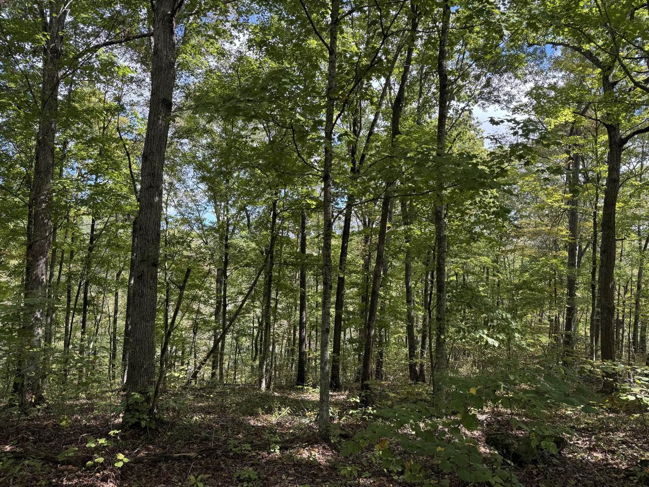 Lot 84,85,86 Sandstone Point Trail - Photo 1