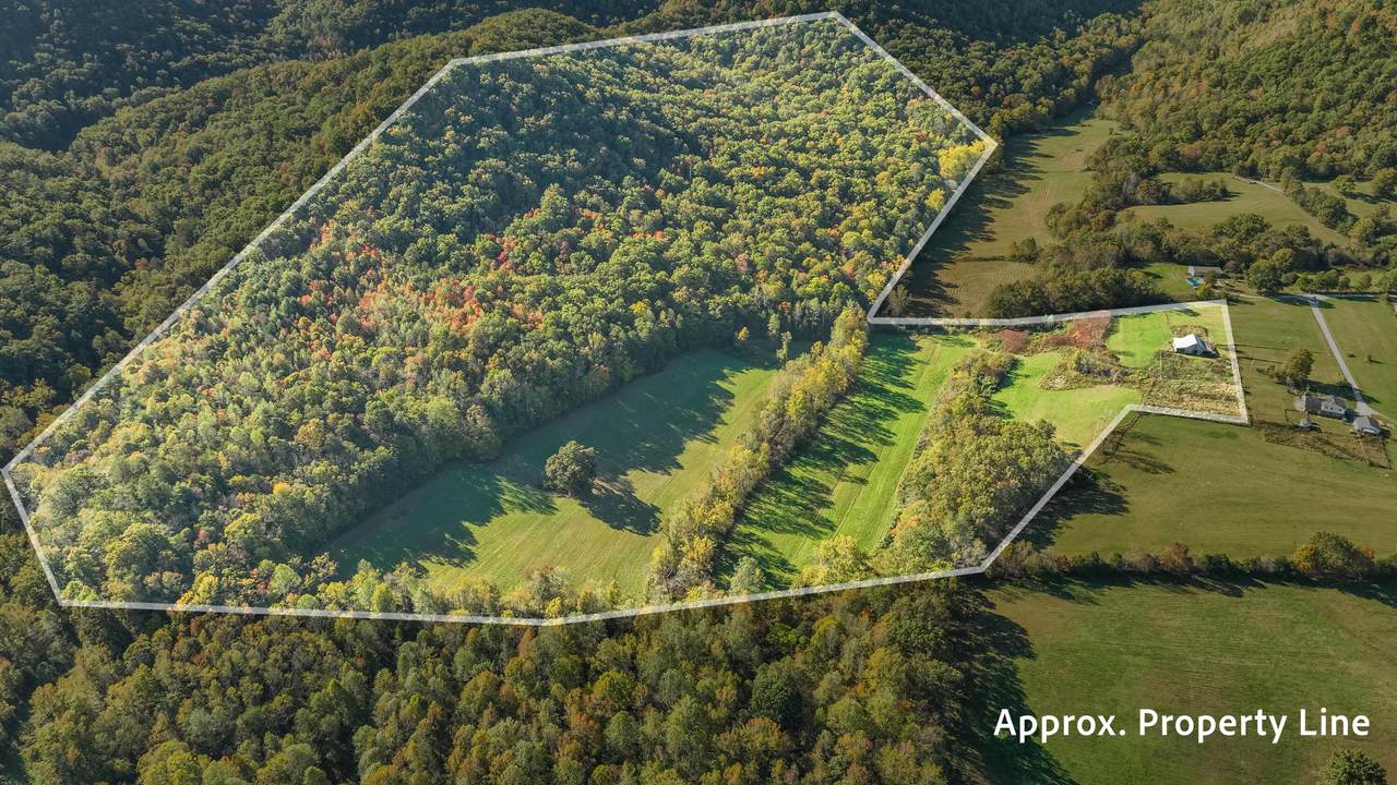 276 Long Branch Road - Photo 1