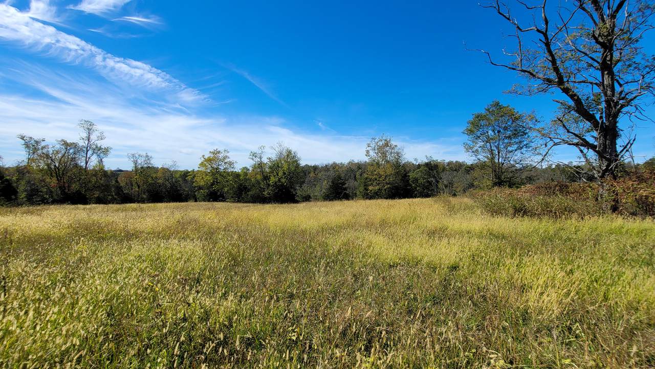 595 Tulip Poplar Lane - Photo 1