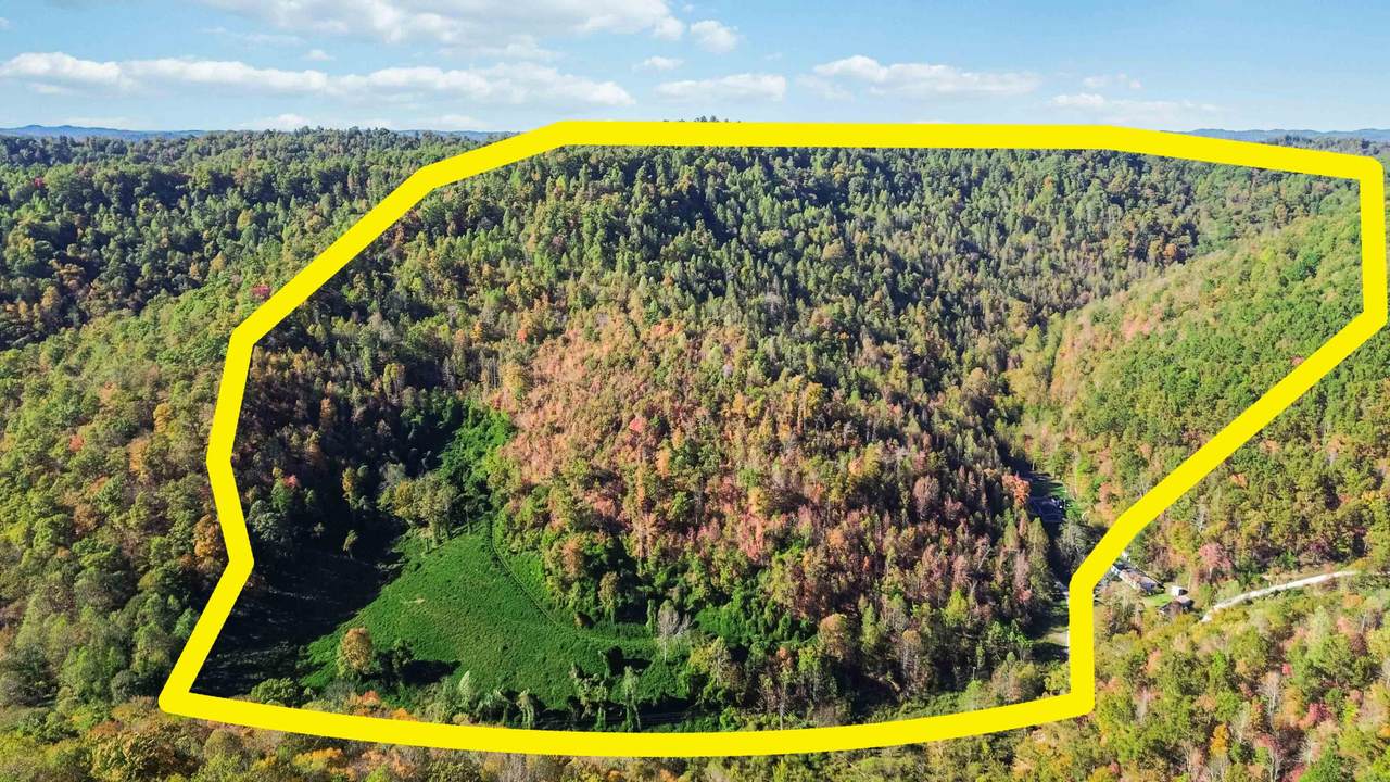 184 Ancient Springs Drive - Photo 1