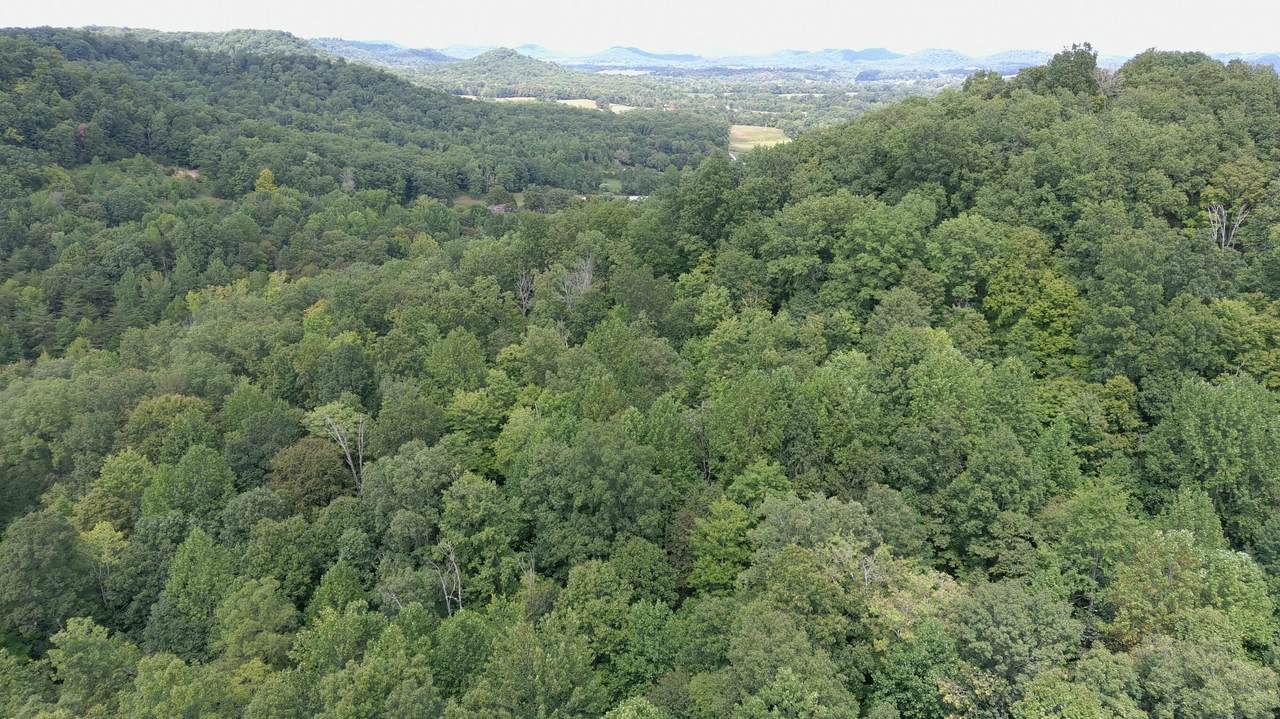 1803 Fisher Creek Road - Photo 1