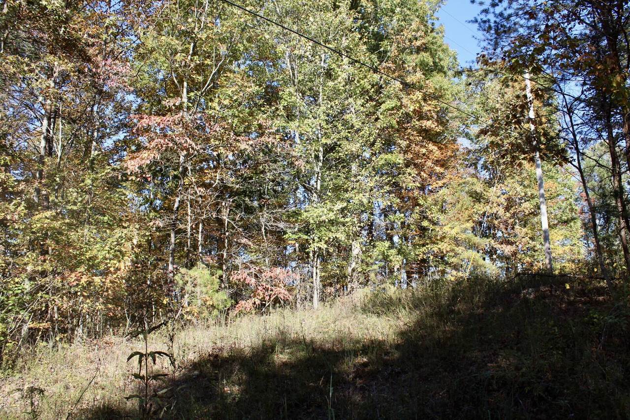 2577 Hazel Patch Road - Photo 1