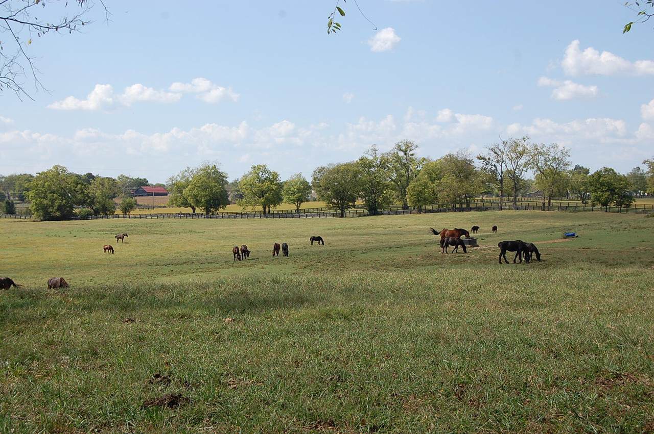 990 Clay Kiser Road - Photo 1