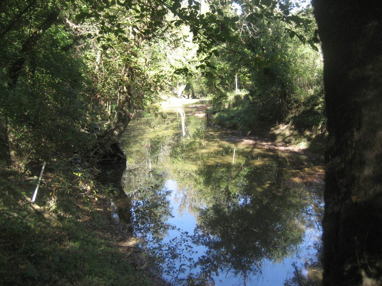 901 Hayden Brothers Lane - Photo 1