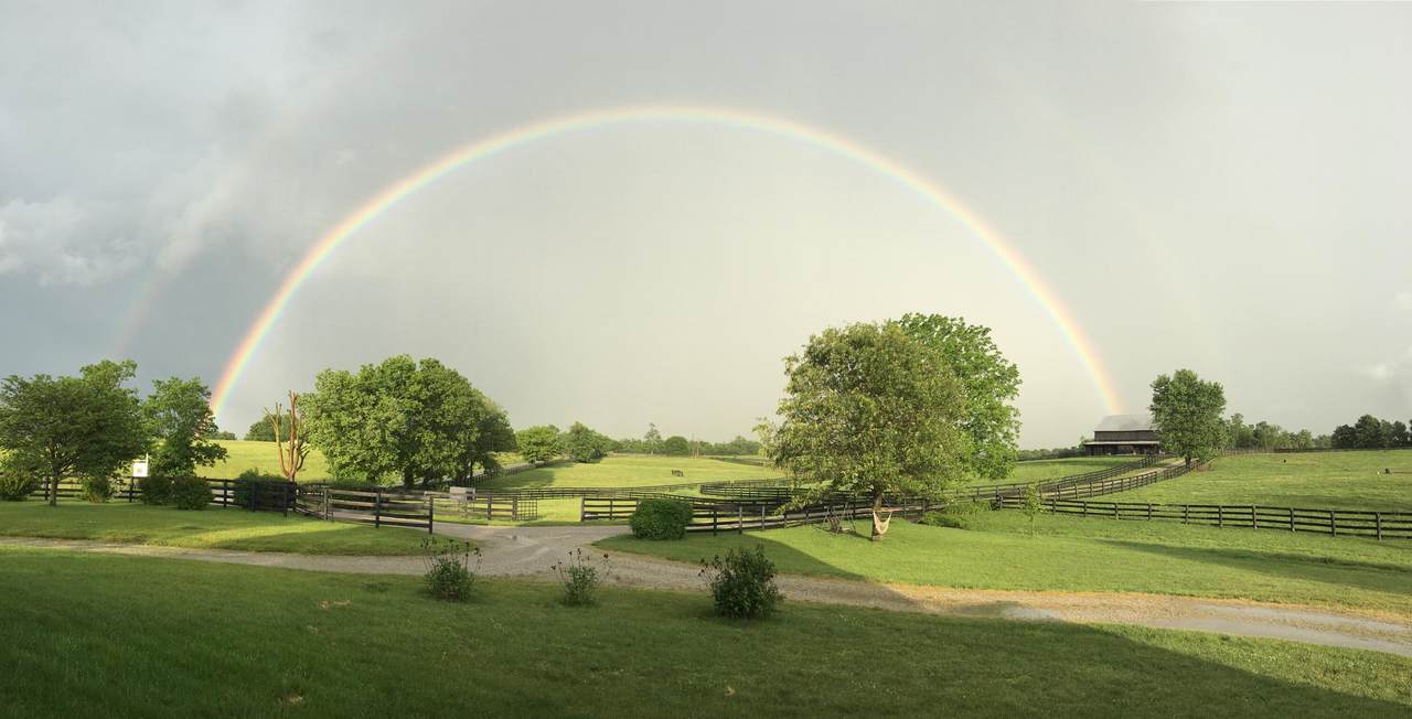 200 Carpenter Pike - Photo 1