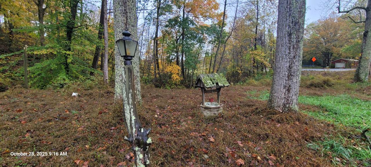 1121 Breeding Road - Photo 1