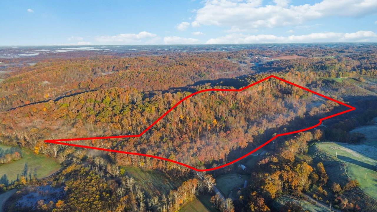 0000 Terrells Creek Road - Photo 1