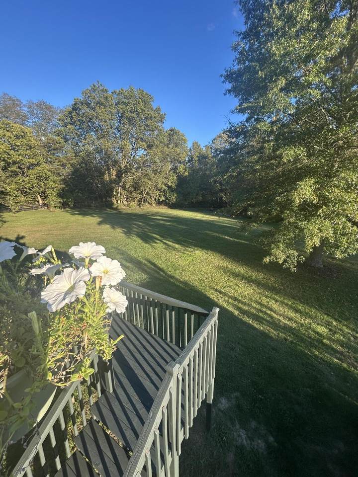 409 Lawson Drive - Photo 1