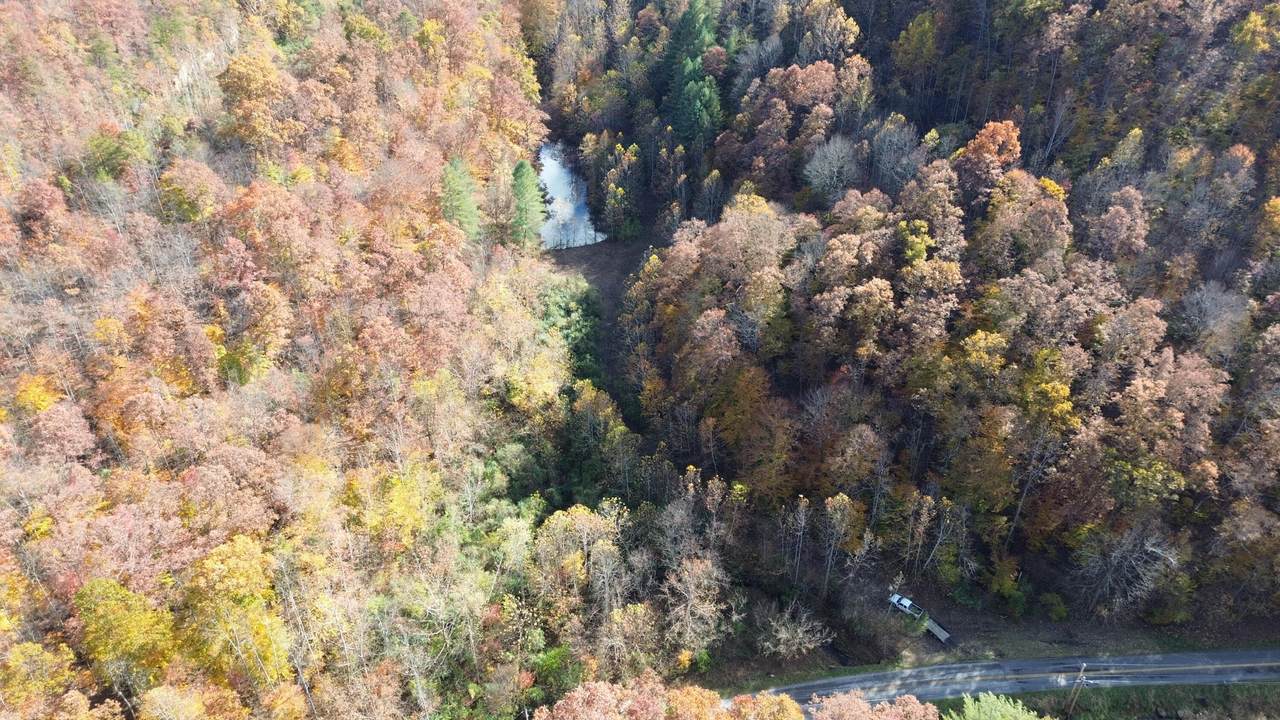 379A Highway 1690 - Photo 1