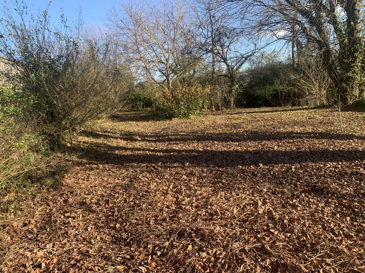 1487 American Greeting Card Road - Photo 1