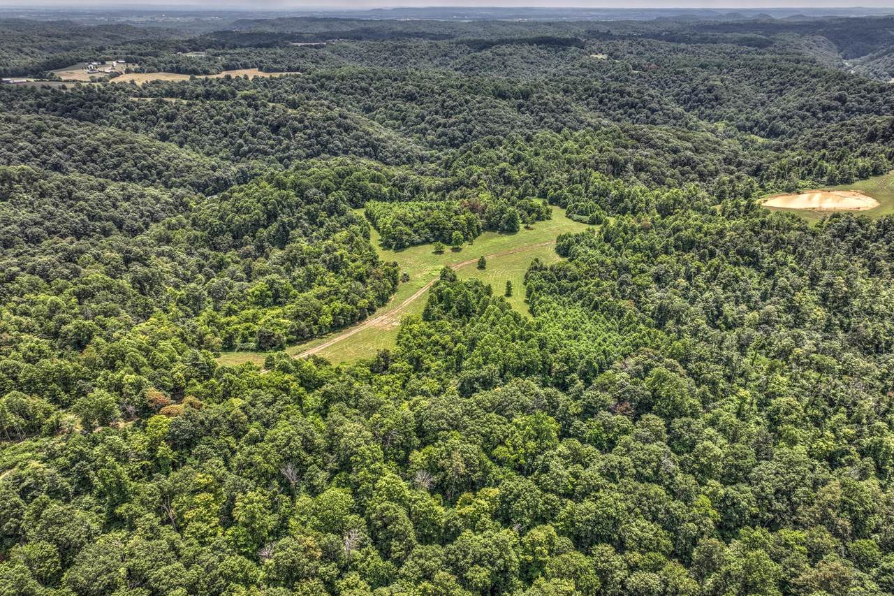 000 Tennessee Ridge Road - Photo 1