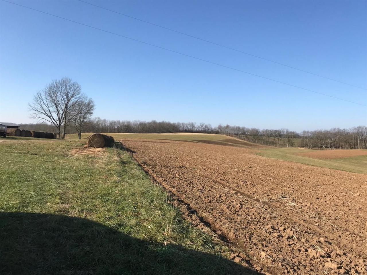 401 Millersburg-Cynthiana Road - Photo 1
