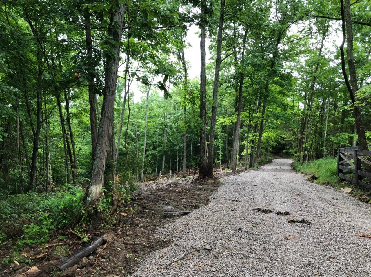 1748 Davis-Turkeyfoot Road - Photo 1