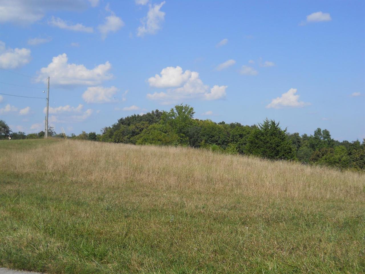 100 Sabin Drive - Photo 1