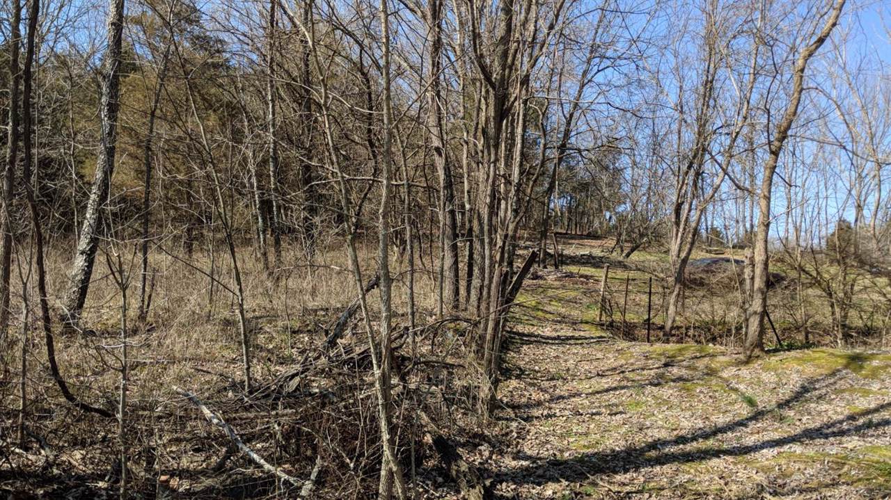 2440 Burton Road - Photo 1