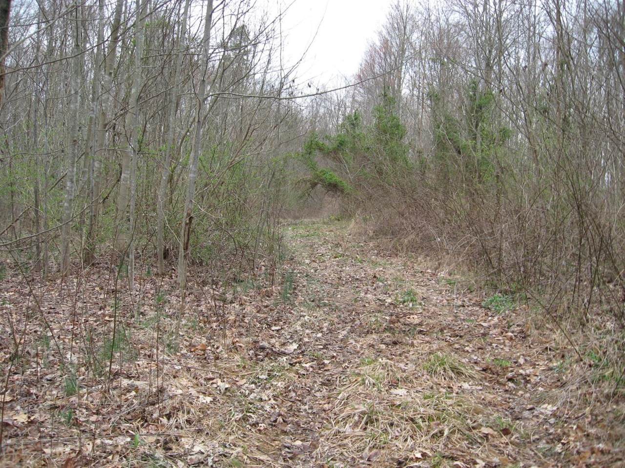 9999 Gravel Lick Road - Photo 1