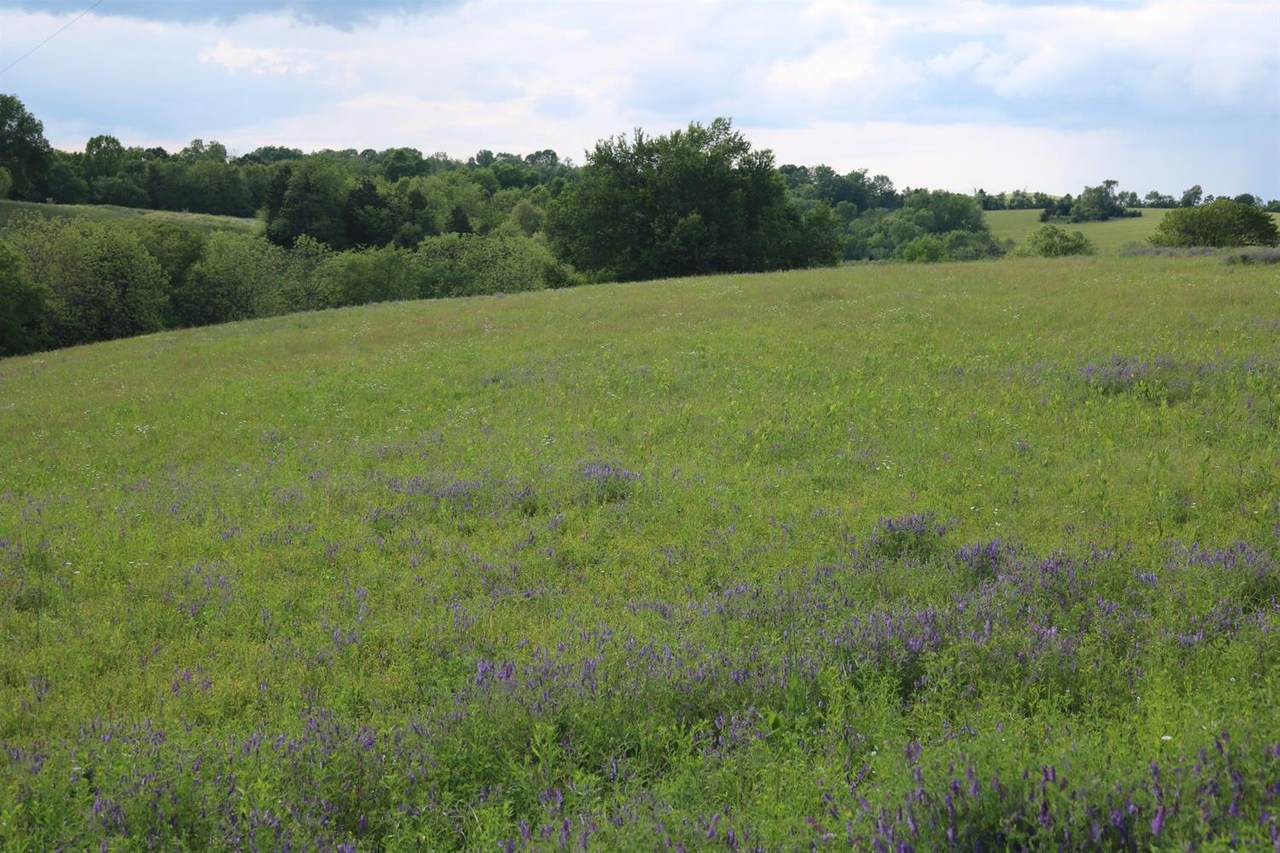 155 Blue Licks Spur - Photo 1