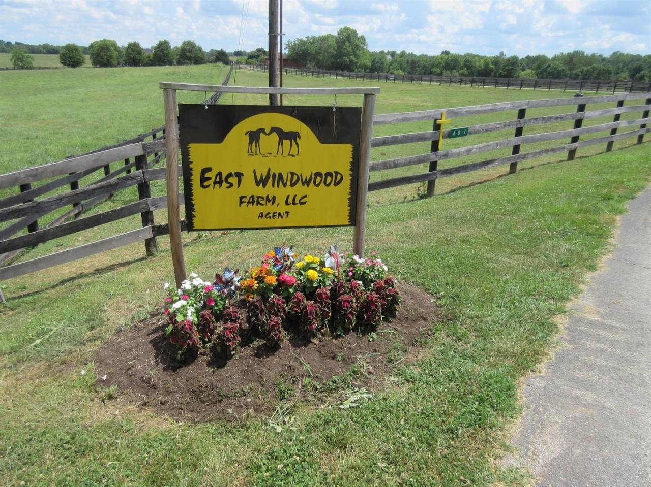 401 Shady Lane - Photo 1
