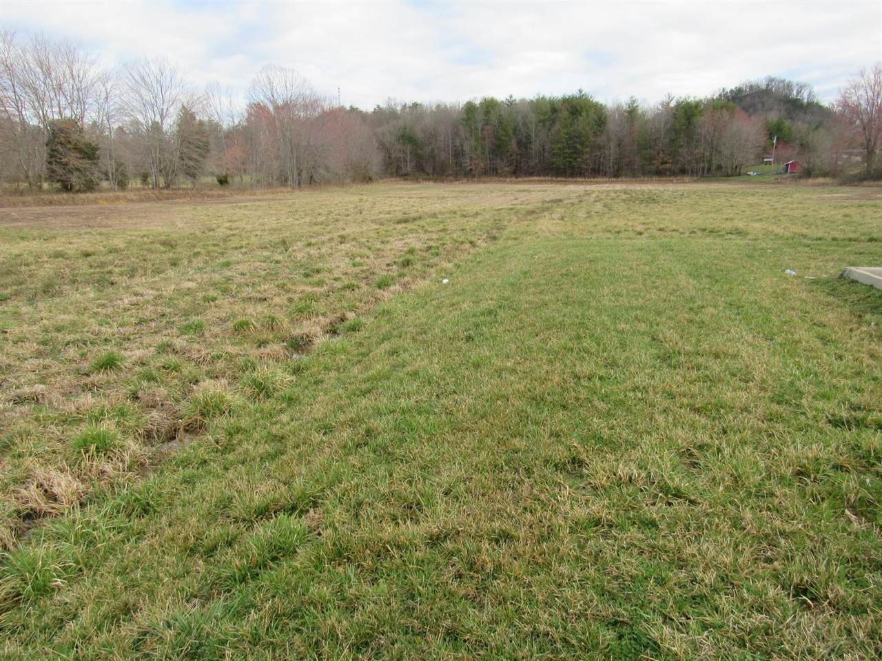 8332 Highway 460 West - Photo 1
