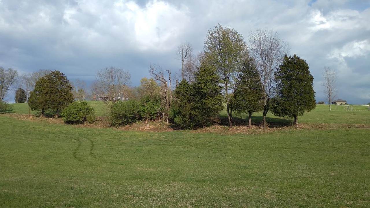 1675 Herrington Hills Drive - Photo 1