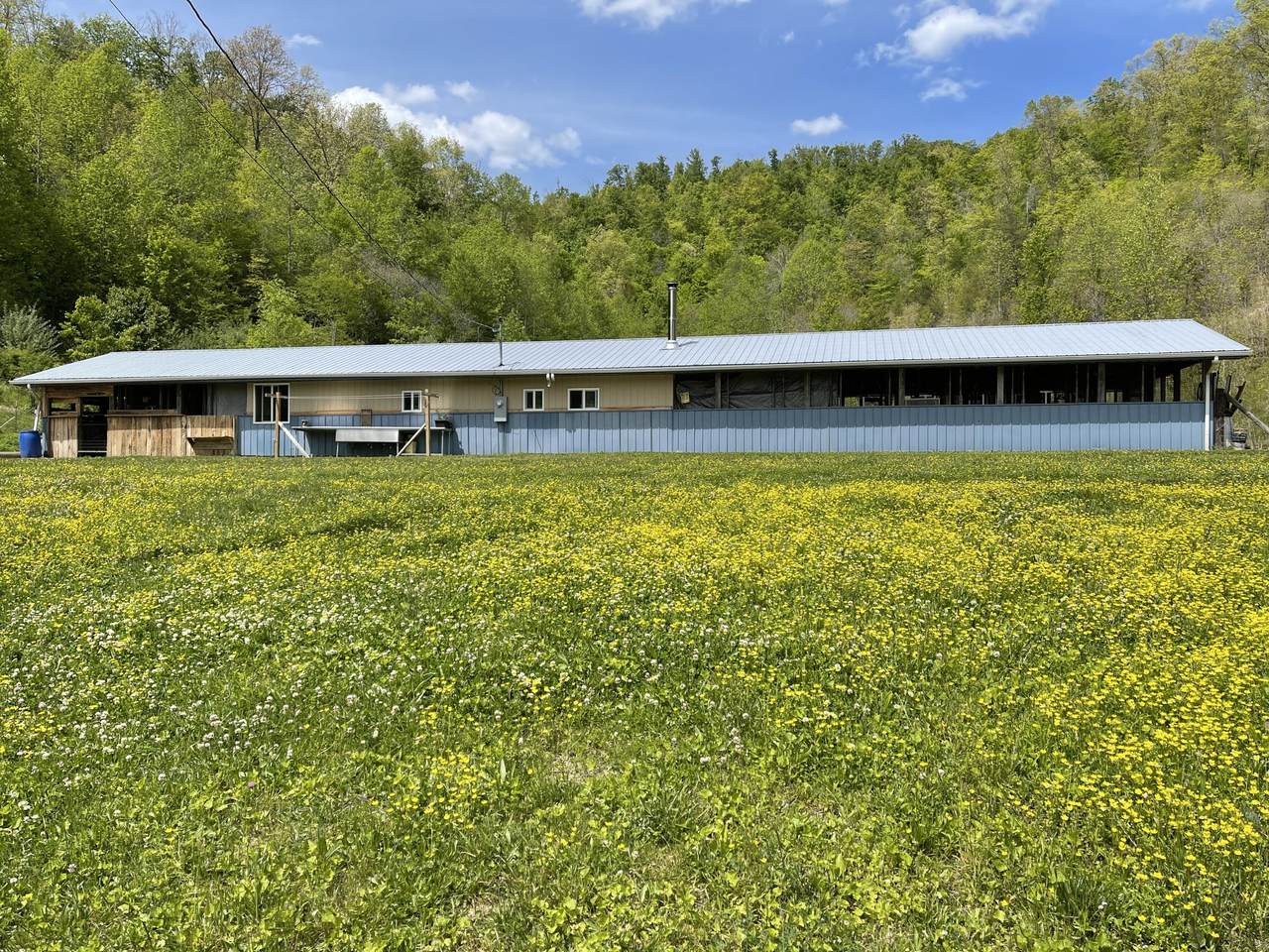 2229 Buckeye Branch Road - Photo 1