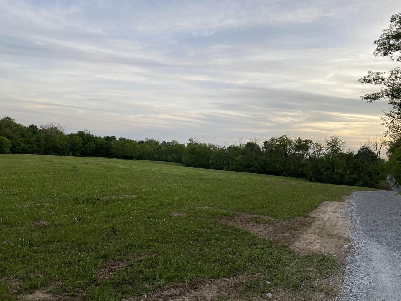 4686 Muddy Ford Road - Photo 1