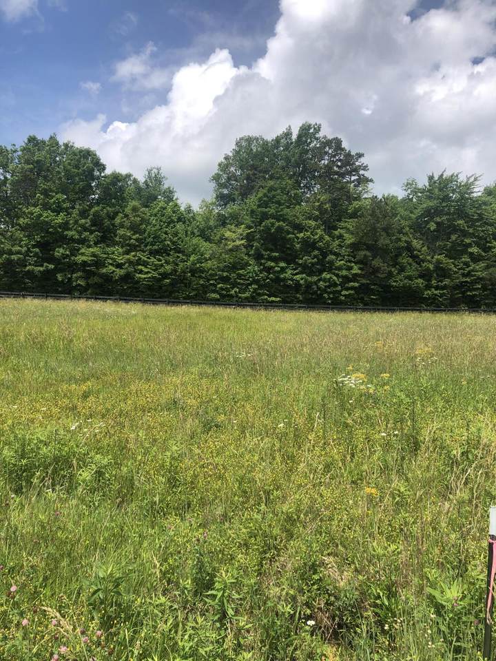 64 Shelton Drive - Photo 1