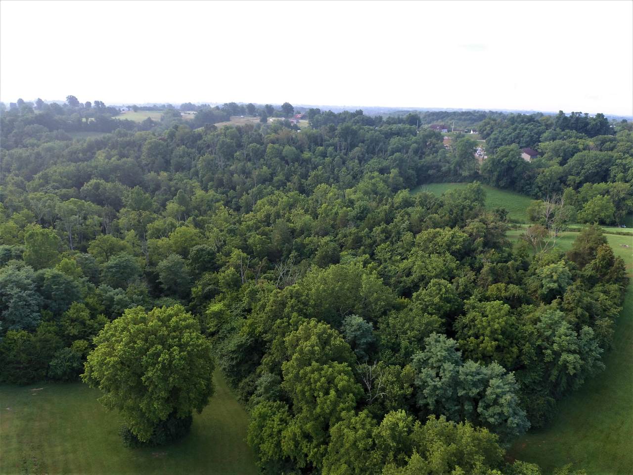 3354 Greenville Road - Photo 1