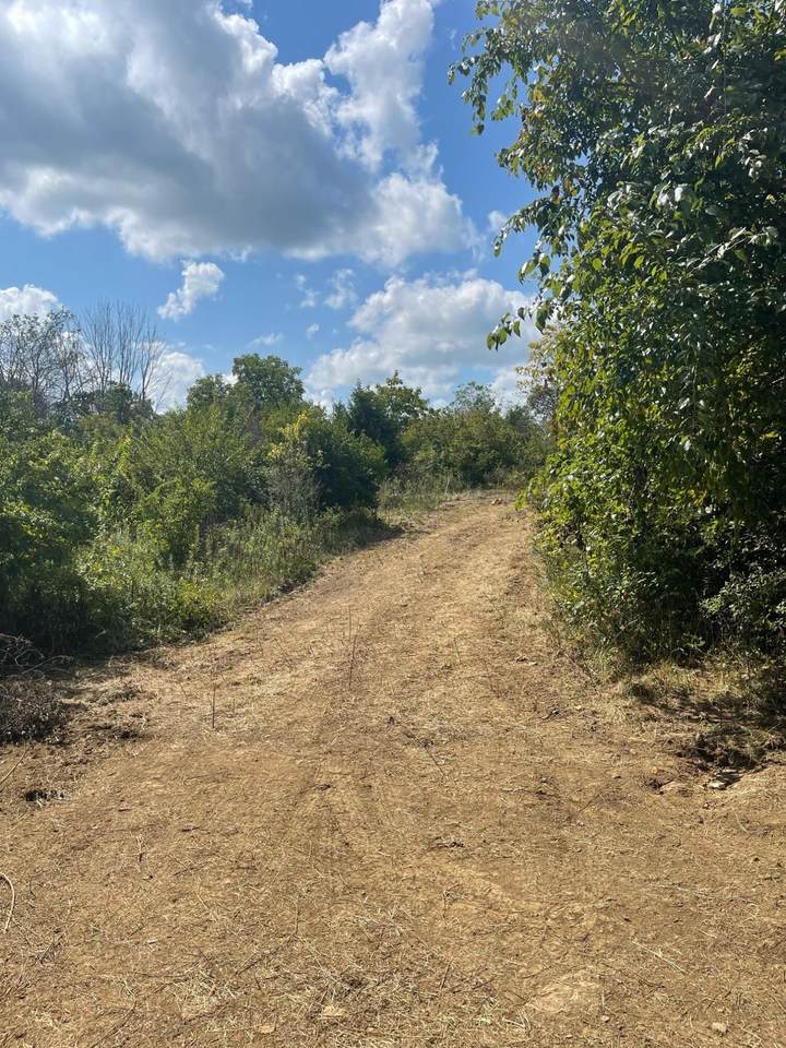 Tract 3 Brookstown Road - Photo 1