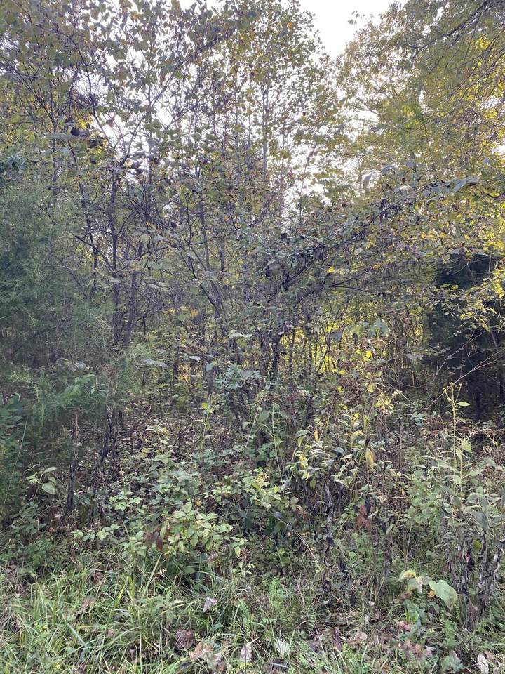 222 Shiloh Road - Photo 1
