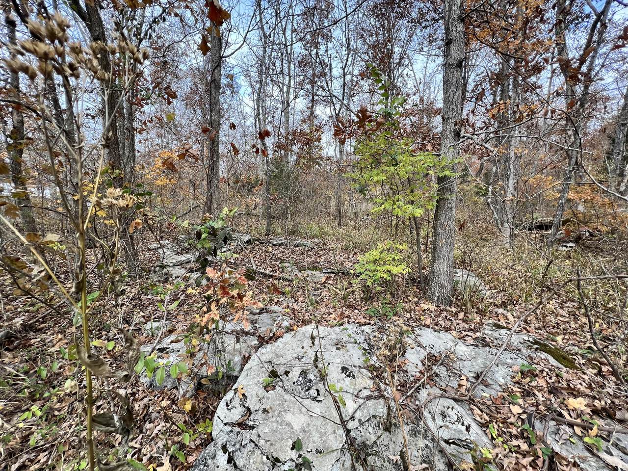 826 Stephens Drive - Photo 1