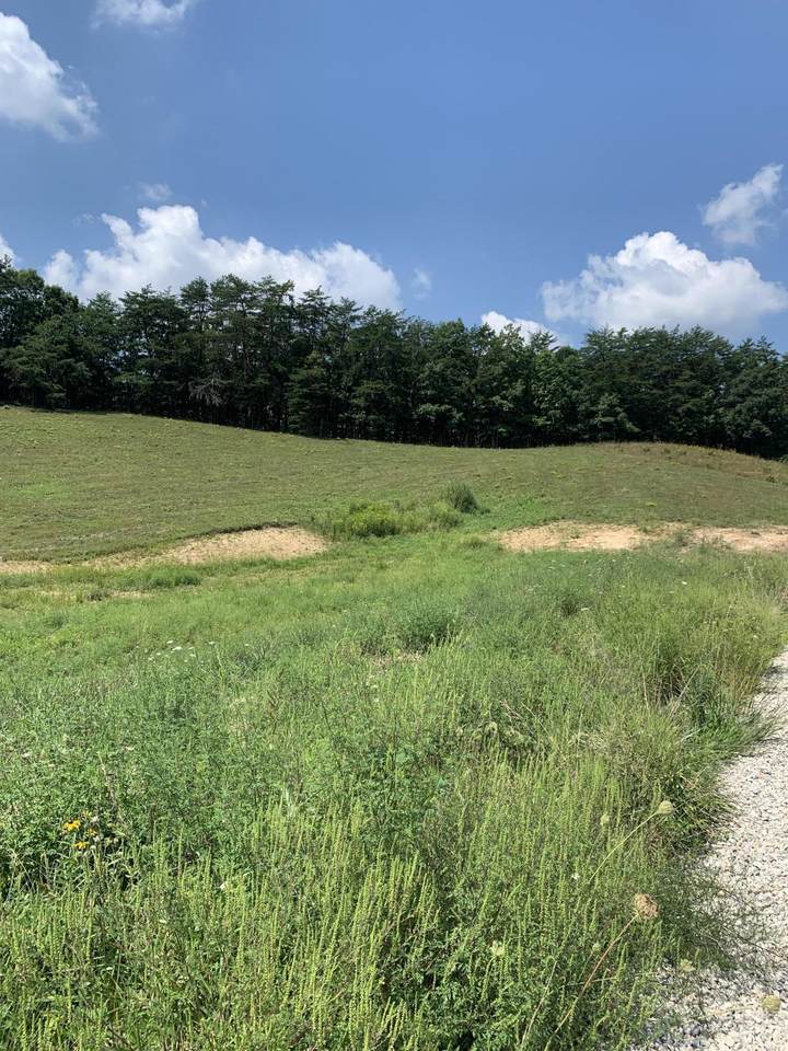 1180 Clay Lick Road - Photo 1