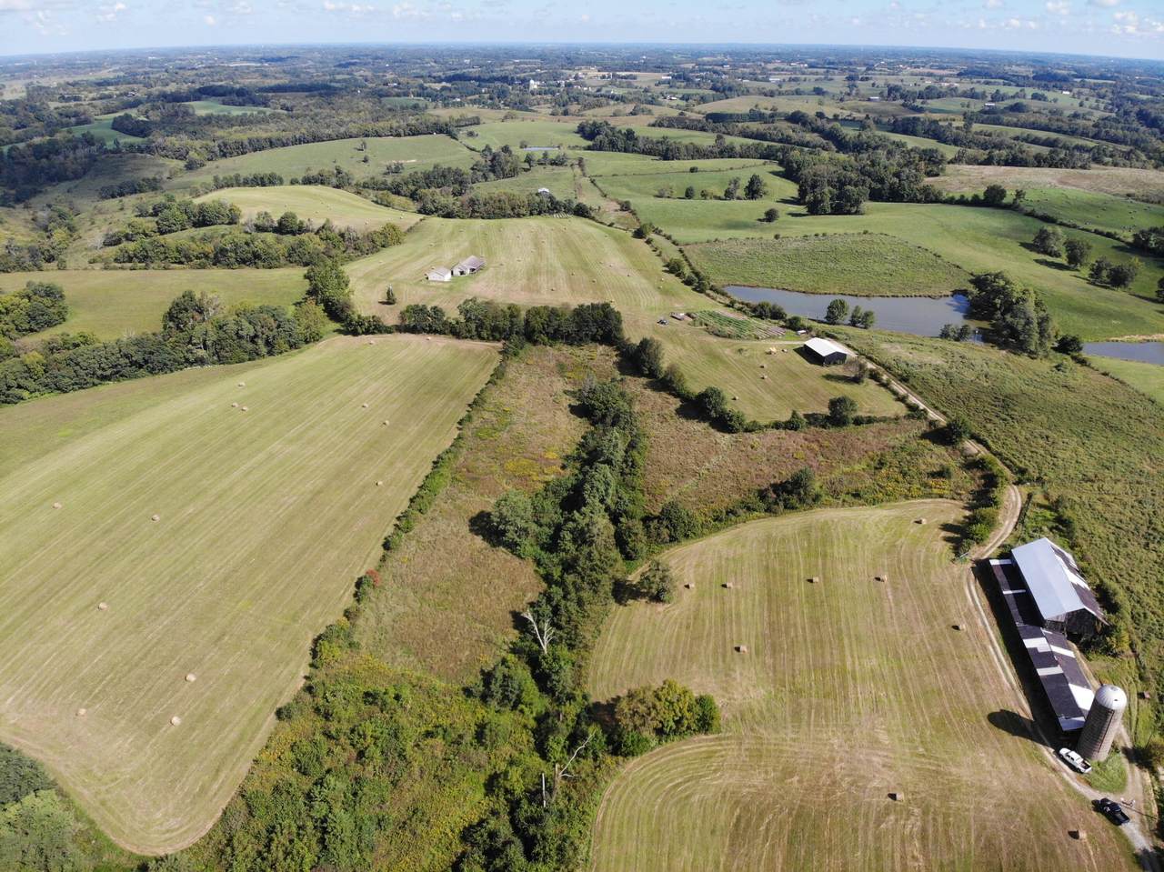 7100 Wades Mill Road - Photo 1