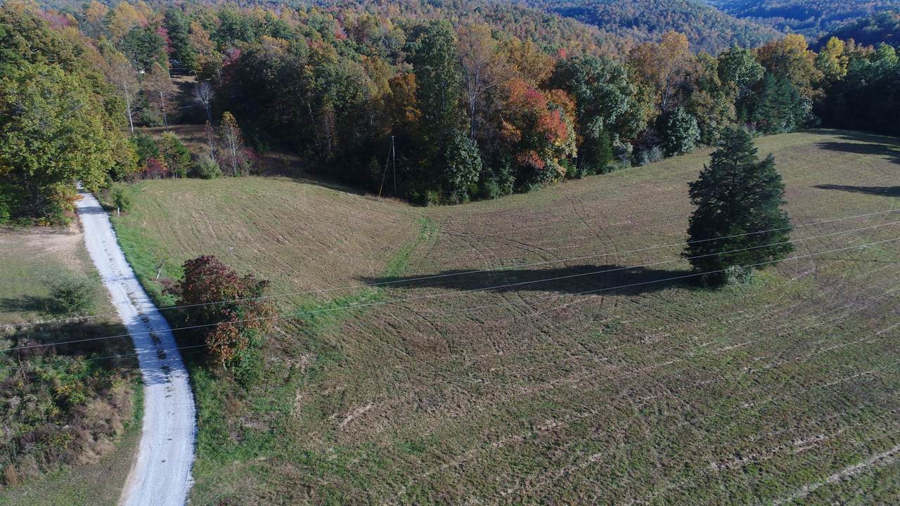1330 Pea Ridge Road - Photo 1