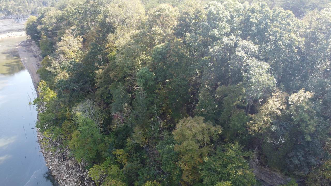 100 Blue Creek Lane - Photo 1