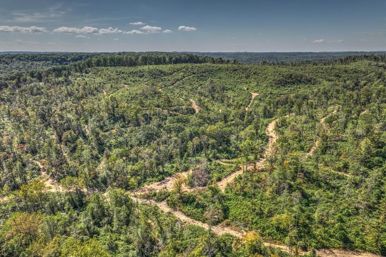 9999 Buffalo Branch Rd. - Photo 1