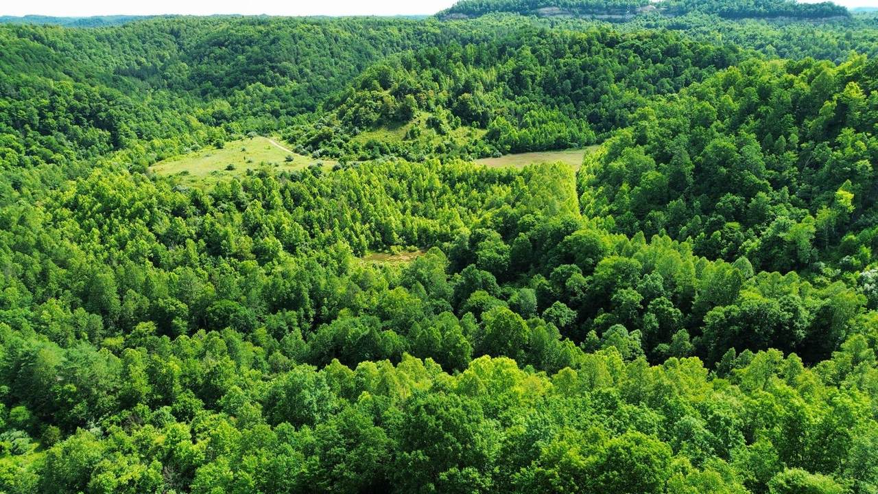 3800A Butcher Hollow Rd - Photo 1