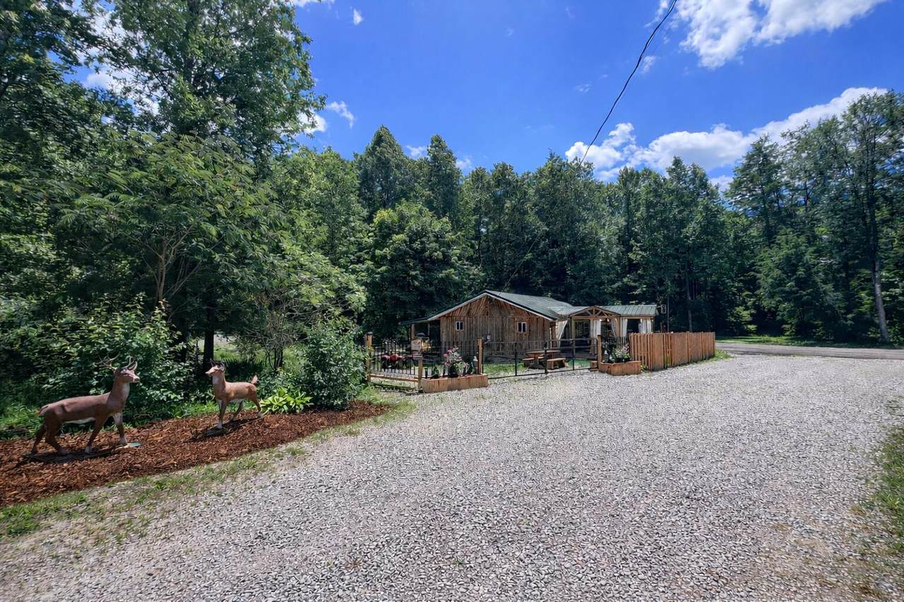 149 Buggs Lane - Photo 1