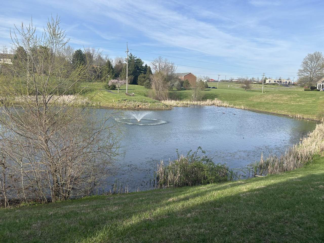 266 Churchill Crossing - Photo 1