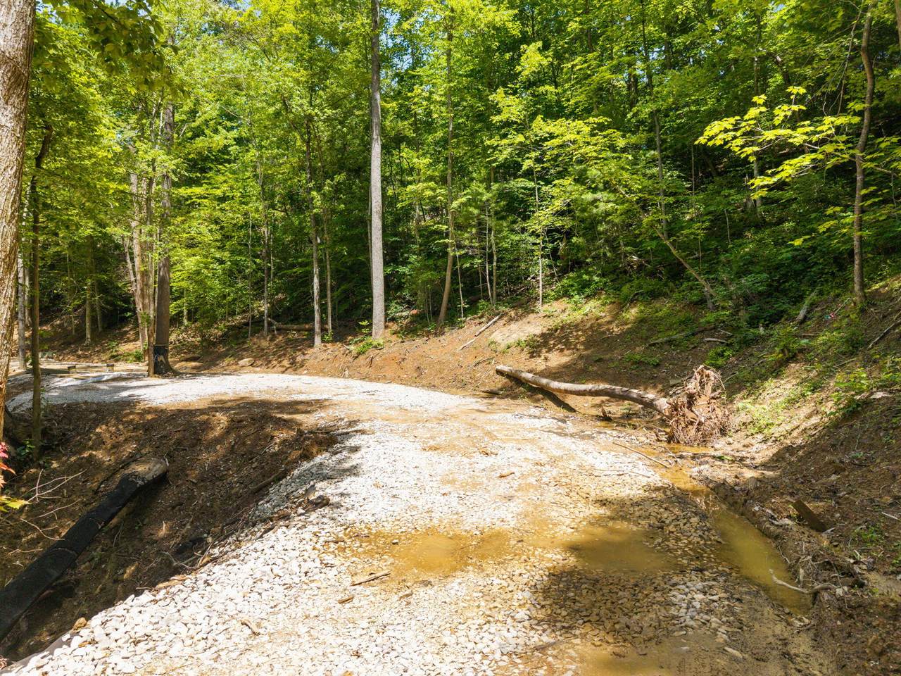 131 High Ridge Road - Photo 1