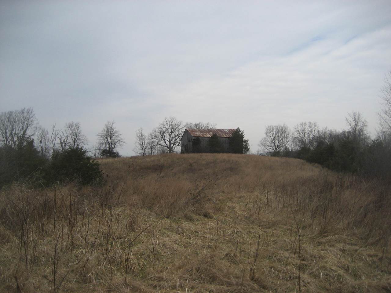 1234 Rutherford Scho Rutherford School Road - Photo 1