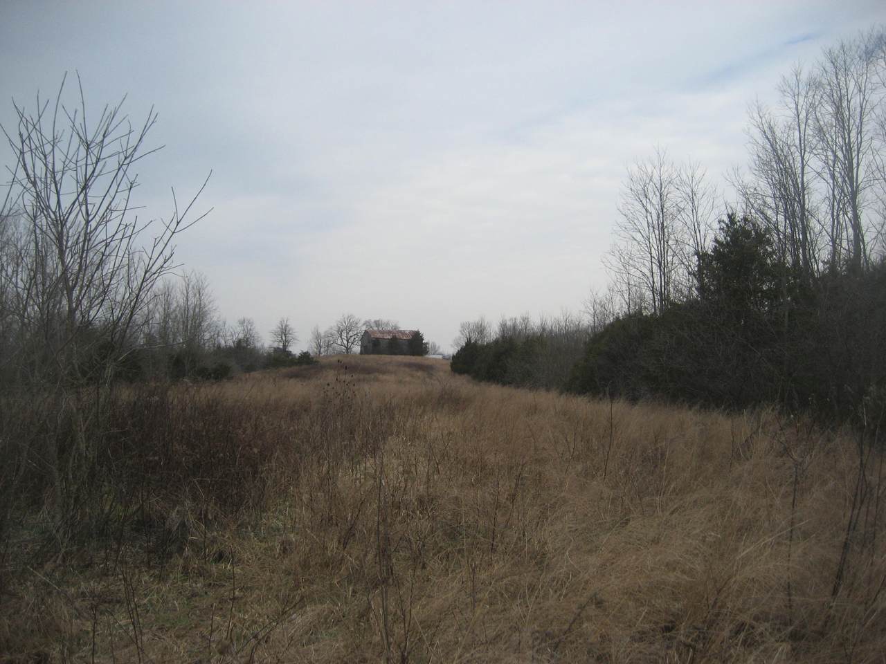 https://bt-photos.global.ssl.fastly.net/lexington/1280_boomver_2_20260227190129436362000000-2.jpg