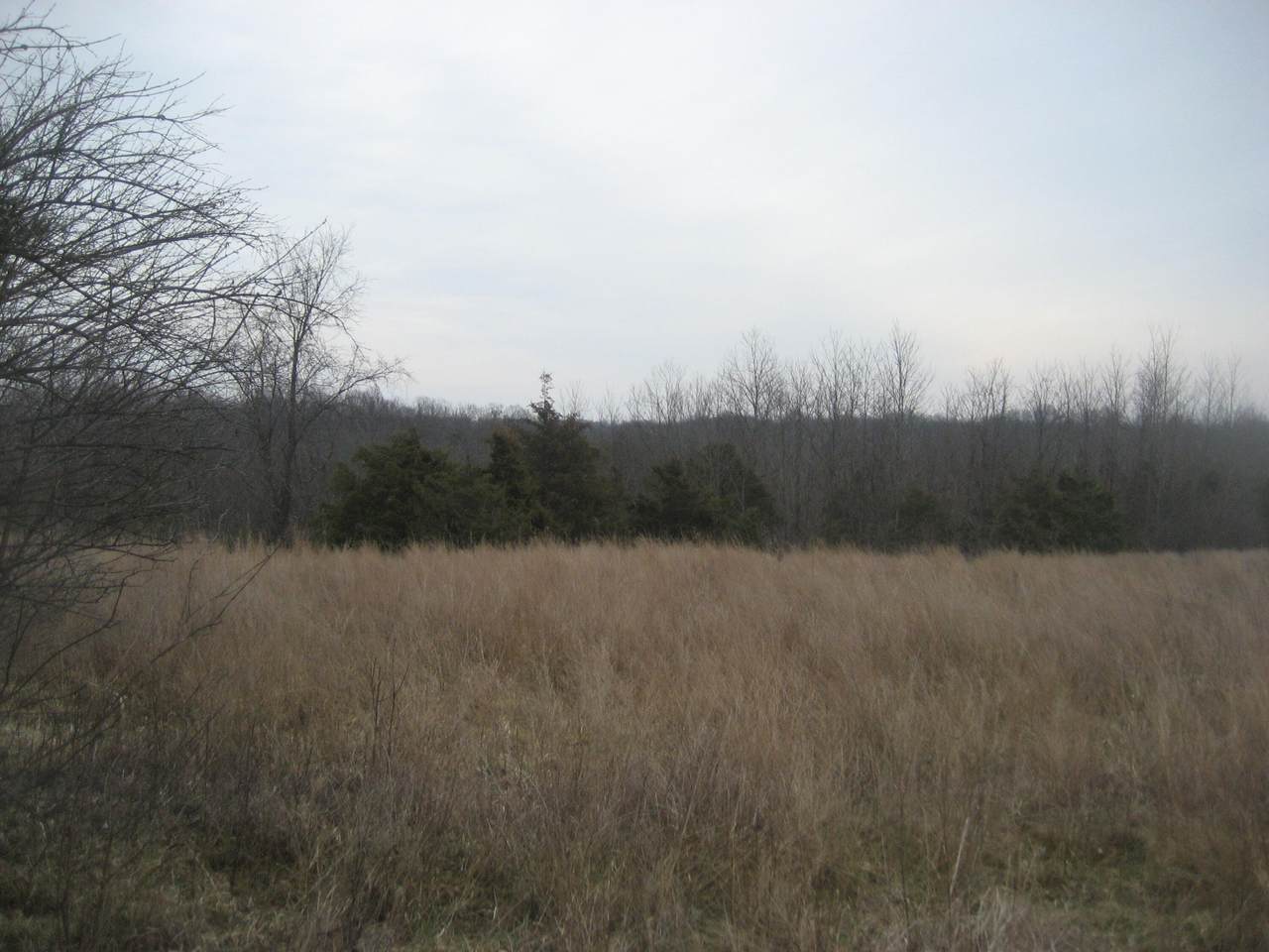 https://bt-photos.global.ssl.fastly.net/lexington/1280_boomver_2_20260227190129436362000000-2.jpg